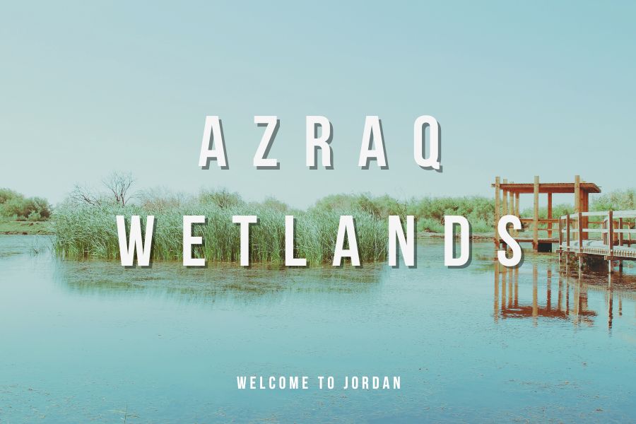 Azraq Wetlands